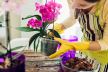 shutterstock-1373650760.jpg