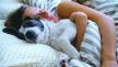 stockphotogirlandherpetdoghugginginthebed1591720534.jpg
