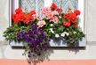 shutterstock_1169086246.jpg