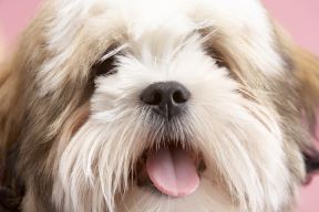 shutterstock-28209826.jpg