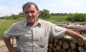 20240611-14-21-58sinovi-su-poslusali-majkubabu-na-svadbu-nisu-zvali--youtube.jpg