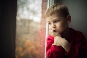 shutterstock-248899612.jpg