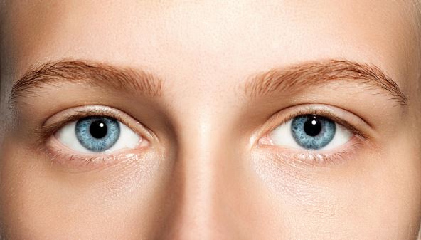 shutterstock-326171174.jpg
