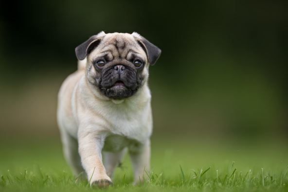 shutterstock-708533065.jpg