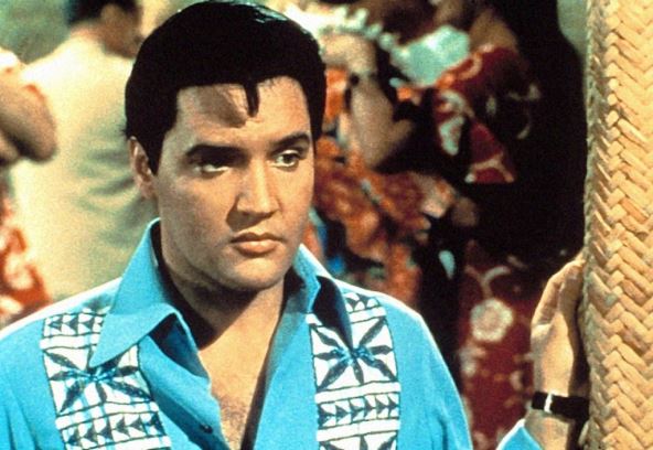 elvis-prisliprofimedia.jpg