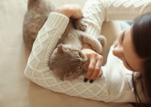shutterstock-598533653.jpg