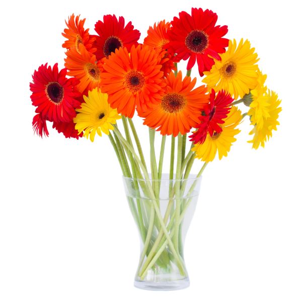 shutterstock-147756314.jpg